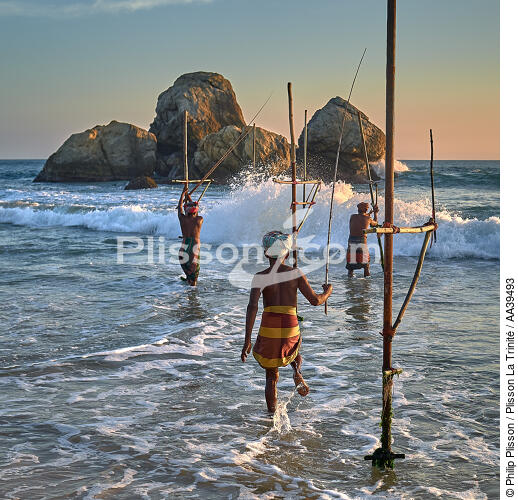 Fishermen on a stick in Sri Lanka - © Philip Plisson / Plisson La Trinité / AA39493 - Photo Galleries - Philip Plisson