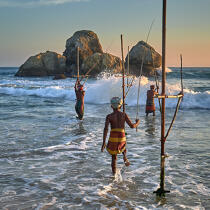 © Philip Plisson / Plisson La Trinité / AA39493 Fishermen on a stick in Sri Lanka - Photo Galleries - Philip Plisson