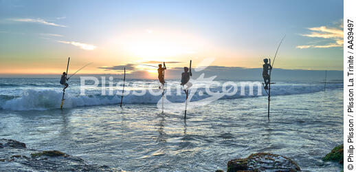 Pêcheurs sur échasse au Sri Lanka - © Philip Plisson / Plisson La Trinité / AA39497 - Nos reportages photos - Mots clés