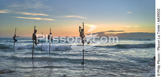 Fishermen on a stick in Sri Lanka - © Philip Plisson / Plisson La Trinité / AA39502 - Photo Galleries - Color