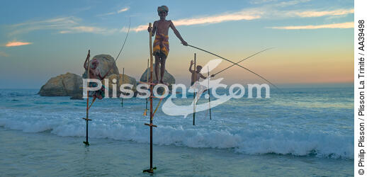 Pêcheurs sur échasse au Sri Lanka - © Philip Plisson / Plisson La Trinité / AA39498 - Nos reportages photos - Vue non aérienne
