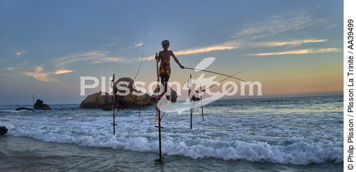 Pêcheurs sur échasse au Sri Lanka - © Philip Plisson / Plisson La Trinité / AA39499 - Nos reportages photos - Couleur