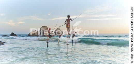 Fishermen on a stick in Sri Lanka - © Philip Plisson / Plisson La Trinité / AA39500 - Photo Galleries - Color