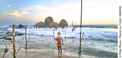 Fishermen on a stick in Sri Lanka - © Philip Plisson / Plisson La Trinité / AA39506 - Photo Galleries - Fishing