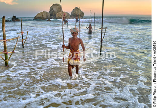 Fishermen on a stick in Sri Lanka - © Philip Plisson / Plisson La Trinité / AA39510 - Photo Galleries - Philip Plisson