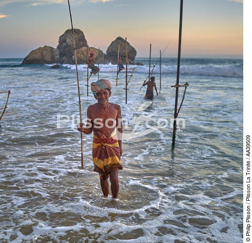 Pêcheurs sur échasse au Sri Lanka - © Philip Plisson / Plisson La Trinité / AA39509 - Nos reportages photos - Philip Plisson