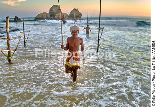 Pêcheurs sur échasse au Sri Lanka - © Philip Plisson / Plisson La Trinité / AA39508 - Nos reportages photos - Auteur