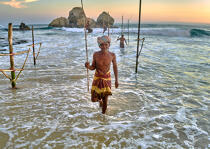 © Philip Plisson / Plisson La Trinité / AA39508 Pêcheurs sur échasse au Sri Lanka - Nos reportages photos - Philip Plisson