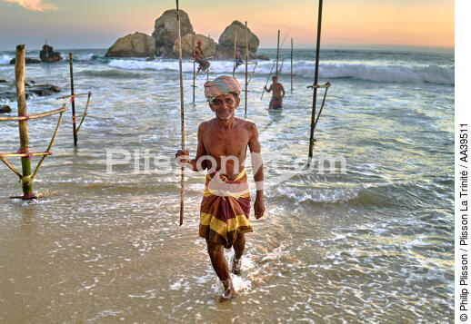 Pêcheurs sur échasse au Sri Lanka - © Philip Plisson / Plisson La Trinité / AA39511 - Nos reportages photos - Couleur