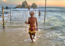 © Philip Plisson / Plisson La Trinité / AA39511 Pêcheurs sur échasse au Sri Lanka - Nos reportages photos - Pêche