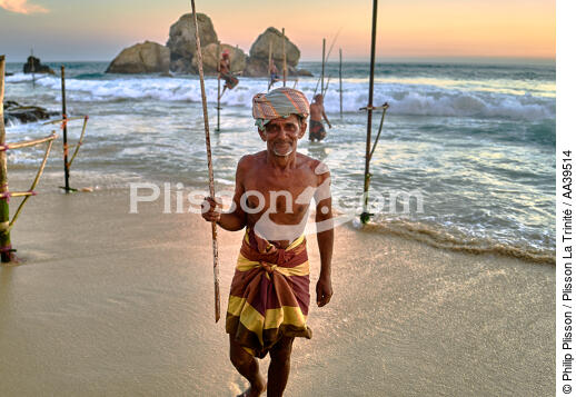 Pêcheurs sur échasse au Sri Lanka - © Philip Plisson / Plisson La Trinité / AA39514 - Nos reportages photos - Couleur