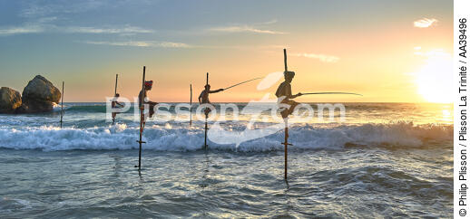 Pêcheurs sur échasse au Sri Lanka - © Philip Plisson / Plisson La Trinité / AA39496 - Nos reportages photos - Activité maritime