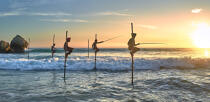 © Philip Plisson / Plisson La Trinité / AA39496 Fishermen on a stick in Sri Lanka - Photo Galleries - Maritime activity