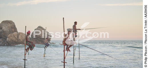 Pêcheurs sur échasse au Sri Lanka - © Philip Plisson / Plisson La Trinité / AA39456 - Nos reportages photos - Mots clés