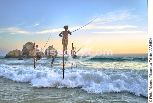 Pêcheurs sur échasse au Sri Lanka - © Philip Plisson / Plisson La Trinité / AA39504 - Nos reportages photos - Vue non aérienne