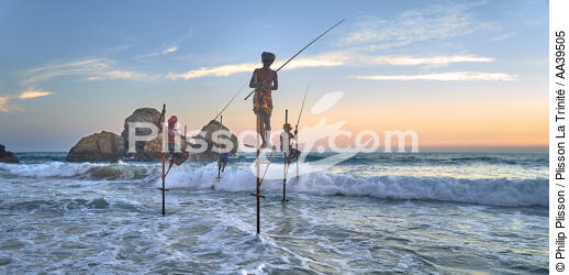 Pêcheurs sur échasse au Sri Lanka - © Philip Plisson / Plisson La Trinité / AA39505 - Nos reportages photos - Mots clés