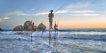 © Philip Plisson / Plisson La Trinité / AA39505 Fishermen on a stick in Sri Lanka - Photo Galleries - Maritime activity