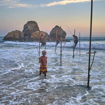 © Philip Plisson / Plisson La Trinité / AA39503 Pêcheurs sur échasse au Sri Lanka - Nos reportages photos - Philip Plisson