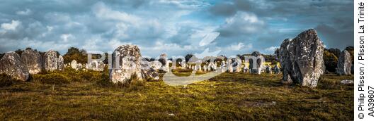 Les alignements de Carnac - © Philip Plisson / Plisson La Trinité / AA39607 - Nos reportages photos - Monument historique