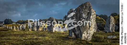 The alignments of Carnac - © Philip Plisson / Plisson La Trinité / AA39616 - Photo Galleries - Horizontal panoramic