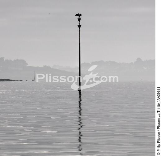 South Cardinale in the Gulf of Morbihan - © Philip Plisson / Plisson La Trinité / AA39611 - Photo Galleries - Buoys and beacons