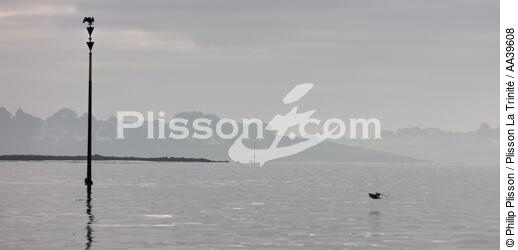 Cardinale sud dans le Golfe du Morbihan - © Philip Plisson / Plisson La Trinité / AA39608 - Nos reportages photos - Signalisation maritime