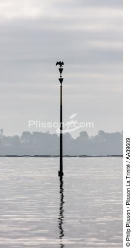 Cardinale sud dans le Golfe du Morbihan - © Philip Plisson / Plisson La Trinité / AA39609 - Nos reportages photos - Bretagne