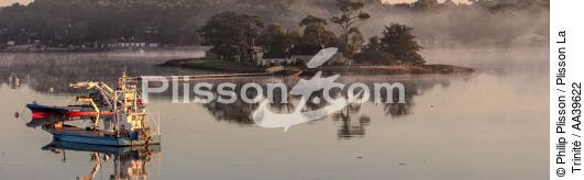 L'île de Cuhan sur la rivière de Crac'h - © Philip Plisson / Plisson La Trinité / AA39622 - Nos reportages photos - Géomorphie
