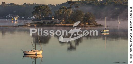 L'île de Cuhan sur la rivière de Crac'h - © Philip Plisson / Plisson La Trinité / AA39623 - Nos reportages photos - Bretagne