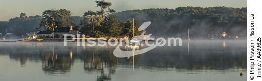 L'île de Cuhan sur la rivière de Crac'h - © Philip Plisson / Plisson La Trinité / AA39625 - Nos reportages photos - Vue non aérienne