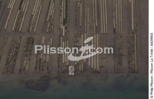 Oyster Parks in Mont-Saint-Michel Bay - © Philip Plisson / Plisson La Trinité / AA39903 - Photo Galleries - France