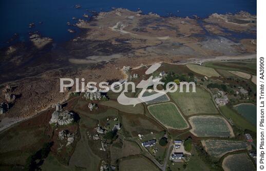 Plougrescant - © Philip Plisson / Plisson La Trinité / AA39909 - Nos reportages photos - Bretagne