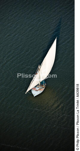 Sur le lac Burullus - Egypte - © Philip Plisson / Plisson La Trinité / AA39818 - Nos reportages photos - Chromie