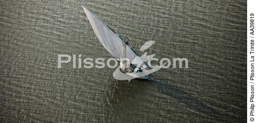 On the Burullus lake - Egypt - © Philip Plisson / Plisson La Trinité / AA39819 - Photo Galleries - Monohull