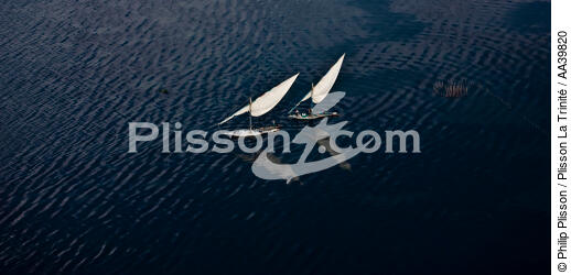 Sur le lac Burullus - Egypte - © Philip Plisson / Plisson La Trinité / AA39820 - Nos reportages photos - Pays étranger