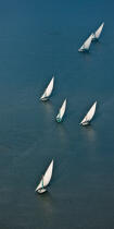 Sur le lac Burullus - Egypte © Philip Plisson / Plisson La Trinité / AA39824 - Nos reportages photos - Vue aérienne