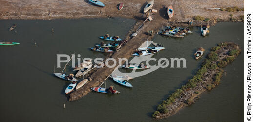 Sur le lac Burullus - Egypte - © Philip Plisson / Plisson La Trinité / AA39829 - Nos reportages photos - Couleur