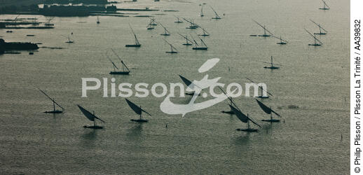 Dans le Delta du Nil - © Philip Plisson / Plisson La Trinité / AA39832 - Nos reportages photos - Type vue