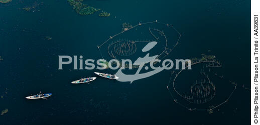 On the Manzala lake - Egypt - © Philip Plisson / Plisson La Trinité / AA39831 - Photo Galleries - Philip Plisson