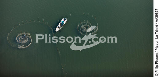 Sur le lac Manzala - Egypte - © Philip Plisson / Plisson La Trinité / AA39837 - Nos reportages photos - 16/9 horizontal
