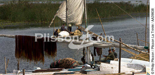 Sur le lac Burullus - Egypte - © Philip Plisson / Plisson La Trinité / AA39838 - Nos reportages photos - Hydrologie