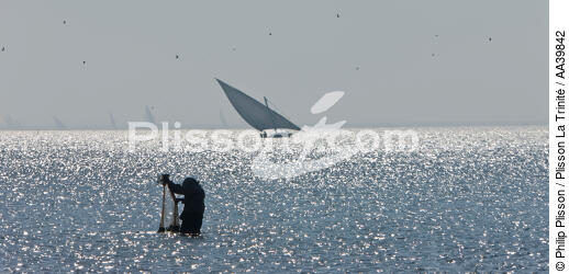 Sur le lac Burullus - Egypte - © Philip Plisson / Plisson La Trinité / AA39842 - Nos reportages photos - Pays étranger