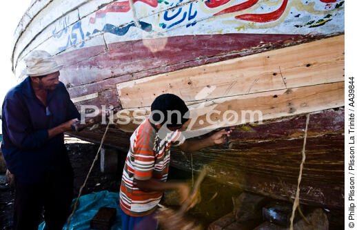 On the Burullus lake - Egypt - © Philip Plisson / Plisson La Trinité / AA39844 - Photo Galleries - Ground shot
