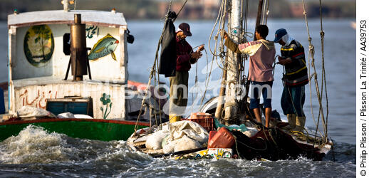 On the Manzala lake - Egypt - © Philip Plisson / Plisson La Trinité / AA39753 - Photo Galleries - 16/9 horizontal