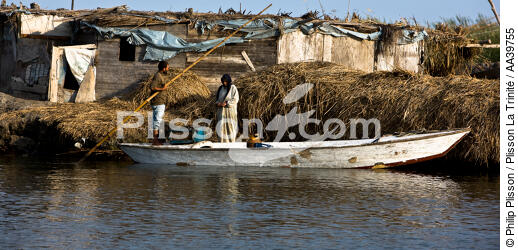 Sur le lac Manzala - Egypte - © Philip Plisson / Plisson La Trinité / AA39755 - Nos reportages photos - Chromie