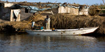 Sur le lac Manzala - Egypte © Philip Plisson / Plisson La Trinité / AA39755 - Nos reportages photos - Philip Plisson
