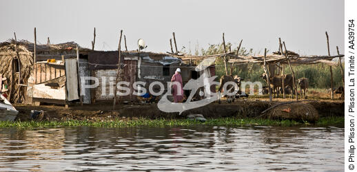 Sur le lac Manzala - Egypte - © Philip Plisson / Plisson La Trinité / AA39754 - Nos reportages photos - Philip Plisson