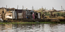 Sur le lac Manzala - Egypte © Philip Plisson / Plisson La Trinité / AA39754 - Nos reportages photos - Couleur