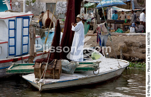 Sur le lac Manzala - Egypte - © Philip Plisson / Plisson La Trinité / AA39756 - Nos reportages photos - Couleur