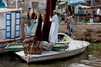 Sur le lac Manzala - Egypte © Philip Plisson / Plisson La Trinité / AA39756 - Nos reportages photos - Horizontal